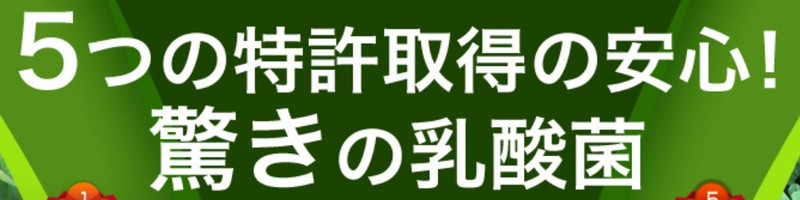 �`�Ɠ��_�ۏ��T�C�g